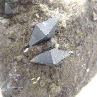 Cristaux d'anatase (XXL) sur quartz, massif de la Lauzière, Savoie.