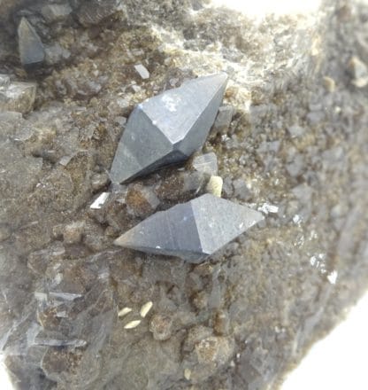 Cristaux d'anatase (XXL) sur quartz, massif de la Lauzière, Savoie.