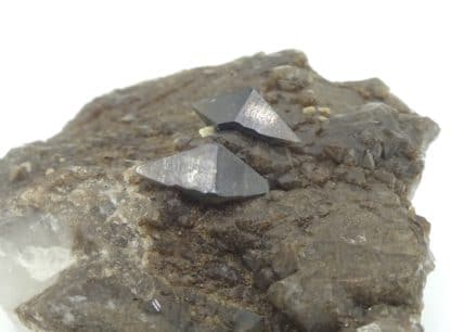 Cristaux d'anatase (XXL) sur quartz, massif de la Lauzière, Savoie.