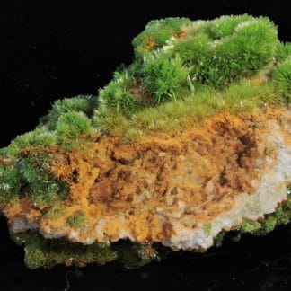 Pyromorphite aciculaire, Saint-Salvy, Tarn.