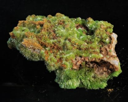 Pyromorphite aciculaire, Saint-Salvy, Tarn.