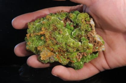 Pyromorphite aciculaire, Saint-Salvy, Tarn.