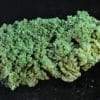 Pyromorphite, Les Farges, Ussel, Corrèze.