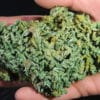 Pyromorphite, Les Farges, Ussel, Corrèze.