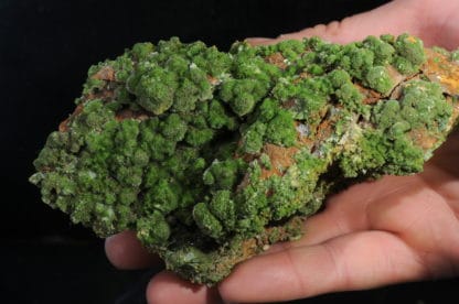 Pyromorphite, Saint-Salvy, Tarn.