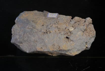 Sphérosidérite dans du basalte, Royat, Puy-de-Dôme, Auvergne.