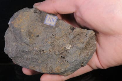 Sphérosidérite dans du basalte, Royat, Puy-de-Dôme, Auvergne.