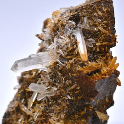 Quartz sur sidérite, mine de Vaulnaveys, Isère.