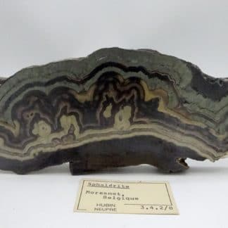 Schalenblende, LontzenSchalenblende, Schmalgraf, mine de Lontzen, Moresnet, Belgique., Moresnet, Belgique.