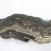 Schalenblende, Lontzen, Moresnet, Belgique.