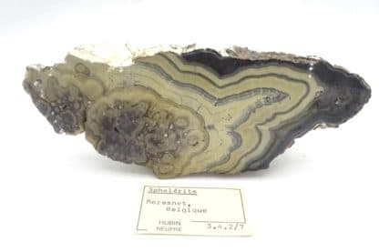 Schalenblende, Schmalgraf, mine de Lontzen, Moresnet, Belgique.