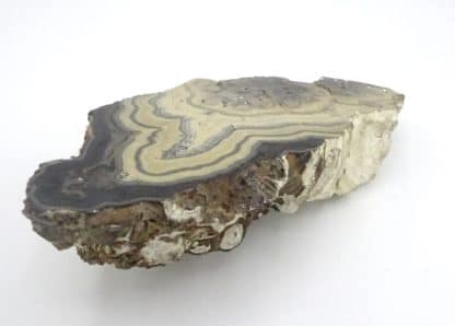 Schalenblende, Schmalgraf, mine de Lontzen, Moresnet, Belgique.