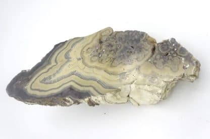 Schalenblende, Schmalgraf, mine de Lontzen, Moresnet, Belgique.