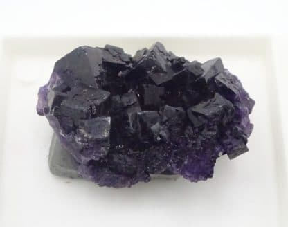 Fluorite violette, Saint-Barthélemy, mine de Fontsante, Var.