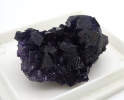 Fluorite violette, Saint-Barthélemy, mine de Fontsante, Var.