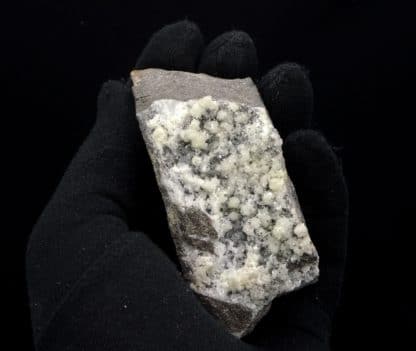 Dolomite sur quartz, Estevelle, Pas-de-Calais, Hauts-de-France.