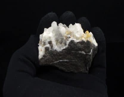 Dolomite sur quartz (xl), Estevelle, Pas-de-Calais, Hauts-de-France.