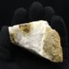 Anatases sur quartzite, carrière d'Opprebais, Incourt, Belgique.