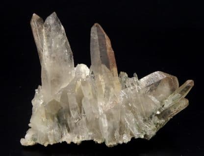 Quartz et chlorite, carrière de Bierghes, Brabant-Wallon, Belgique.