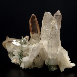 Quartz et chlorite, carrière de Bierghes, Brabant-Wallon, Belgique.