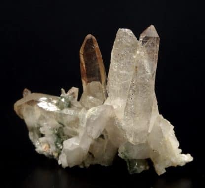 Quartz et chlorite, carrière de Bierghes, Brabant-Wallon, Belgique.