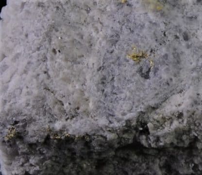 Or natif dans du quartz, Laurieras, Haute-Vienne, Limousin.