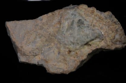 Fluorine verte en octaèdres sur Calcédoine, Mine de la Barre, Saint-Jacques-d’Ambur, Auvergne.