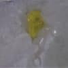 Soufre natif dans Calcite, Colonnata, Carrare, Italie.
