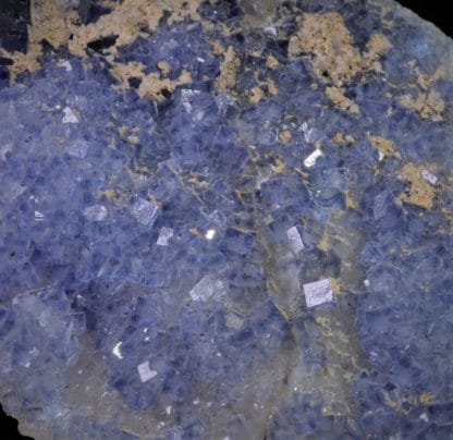 Fluorine bleue encre, Filon Sud 3, Mine de Fontsante, Les-Adrets-de-l’Esterel, Var.