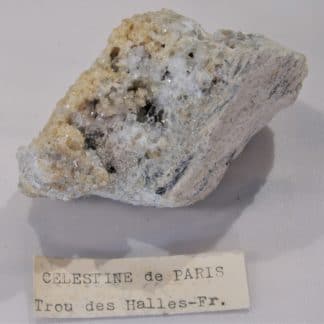 Célestine et Calcite, Le Trou des Halles, Paris.