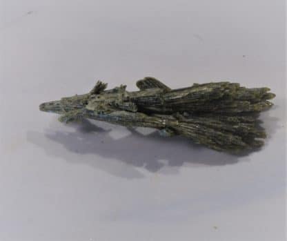 Gerbe de cristaux d’Epidote, La Botte, Chamrousse, Massif de Belledonne, Isère.