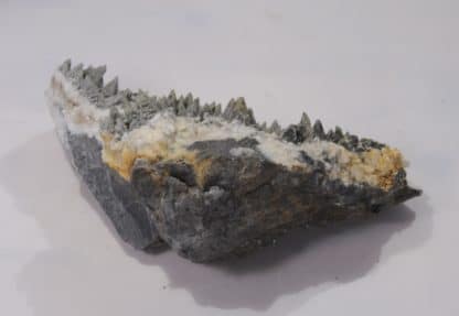 Pyrite sur Calcite, Glageon, Avesnois, Nord, Hauts-de-France.