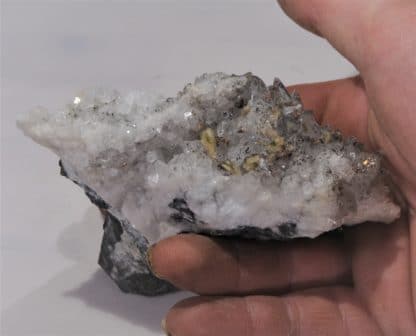 Barytine sur Calcite à inclusions de Pyrite, Glageon, Nord, Hauts-de-France.