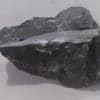 Fluorine et Calcite maclée, Glageon, Nord, Hauts-de-France.