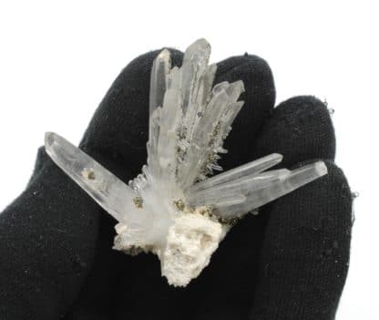 Pyrite sur cristaux de quartz, mine de Trepca, Yougoslavie.