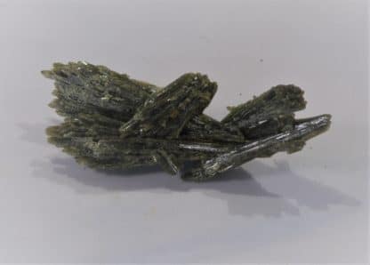 Gerbe de cristaux d’Epidote, La Botte, Chamrousse, Massif de Belledonne, Isère.