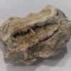 Baryte, Glageon, Nord, Hauts-de-France.