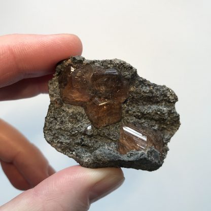 Cristaux de Grenat (Hessonite), Jeffrey Mine, Asbestos, Québec, Canada.