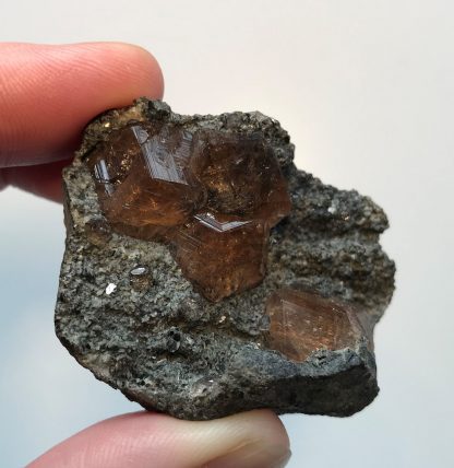 Cristaux de Grenat (Hessonite), Jeffrey Mine, Asbestos, Québec, Canada.