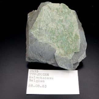 Turquoise, Salmchâteau, Vielsalm, massif de Stavelot, Belgique.