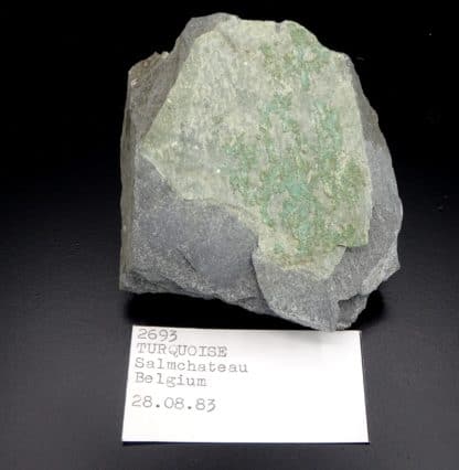 Turquoise, Salmchâteau, Vielsalm, massif de Stavelot, Belgique.