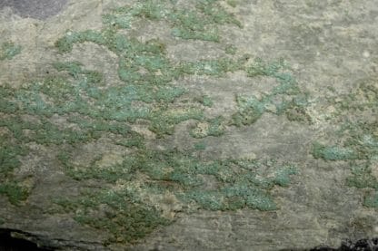 Turquoise, Salmchâteau, Vielsalm, massif de Stavelot, Belgique.