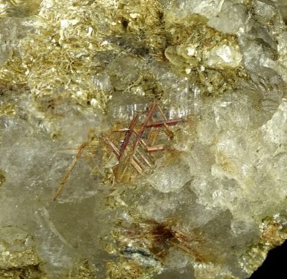 Rutile (sagénite) sur quartz, Saint-Gothard, Uri, Suisse.