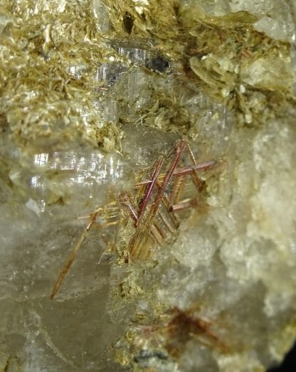 Rutile (sagénite) sur quartz, Saint-Gothard, Uri, Suisse.