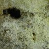 Hydrozincite, sphalérite, Diepenlinchen, Stolberg, Allemagne.