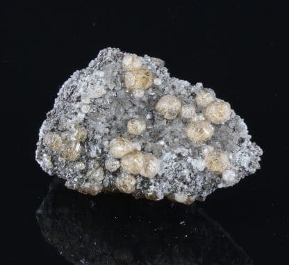 Cristaux de Grenat (Hessonite), Asbestos, Québec, Canada.