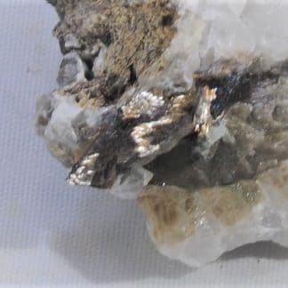 Anatase épigénisée en Rutile, col de la Madeleine, La Lauzière, Savoie.