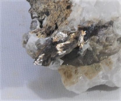 Anatase épigénisée en Rutile, col de la Madeleine, La Lauzière, Savoie.