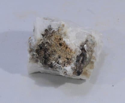 Anatase épigénisée en Rutile, col de la Madeleine, La Lauzière, Savoie.