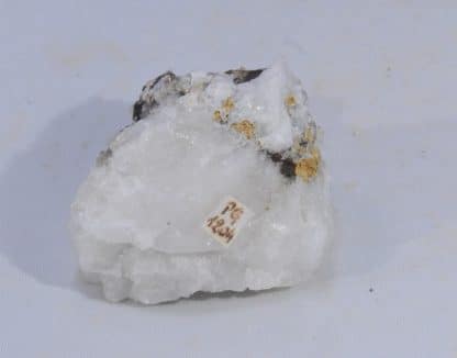 Anatase épigénisée en Rutile, Le Plan du Lac, Oisans, Isère.